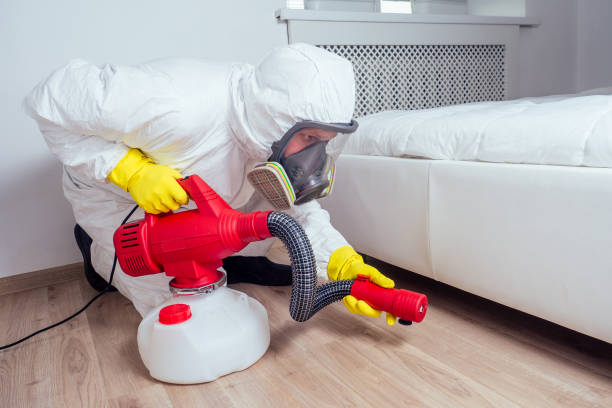 Professional Pest control in Bergenfield, NJ